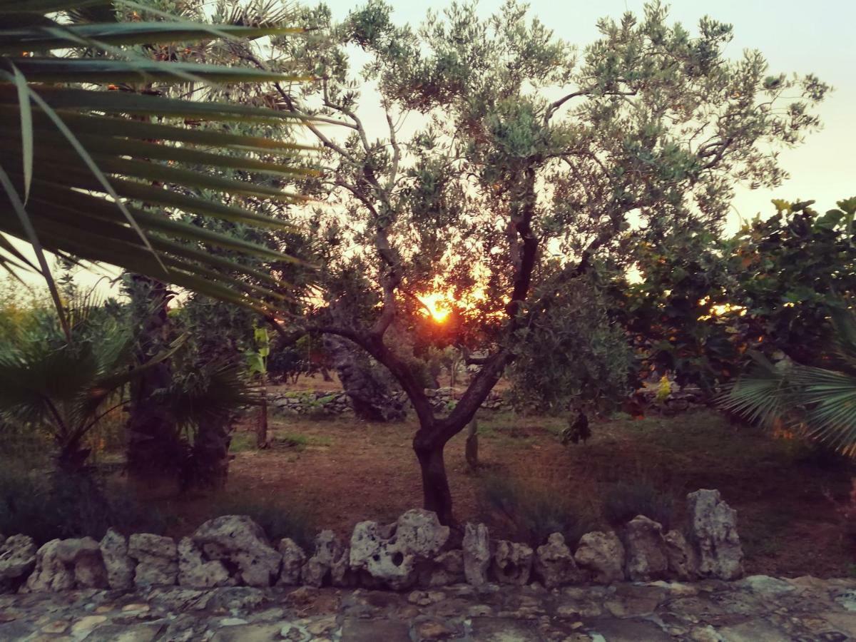 Agriturismo Tenuta La Siesta Gallipoli Exterior foto